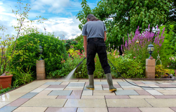 Best Animal Enclosure Cleaning  in Sandia Heights, NM